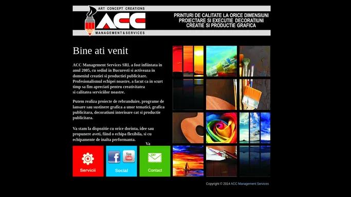 ACC Management Services, Productie Publicitara