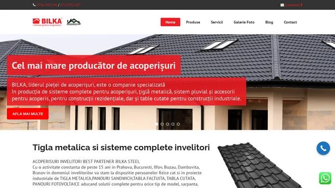 Homepage - Tigla metalica acoperisuri | Tigla metalica Bilka