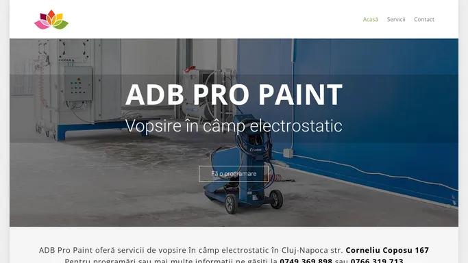 Servicii de vopsire in camp electrostatic in Cluj-Napoca - ADB Pro Paint