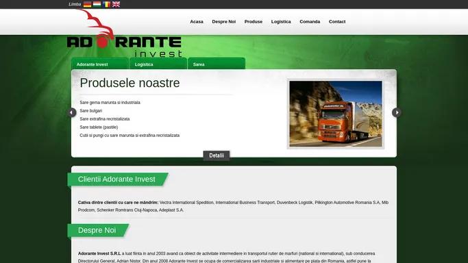 Adorante Invest :: Transportul rutier de marfuri (national si international) | Adorante Invest