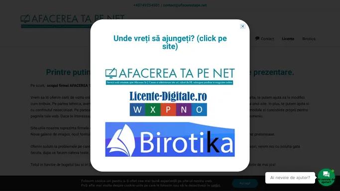 Servicii web orientate spre Afacerea Ta - AFACEREA TA PE NET