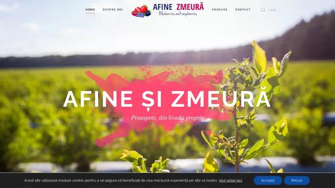 Home - Afine Zmeura