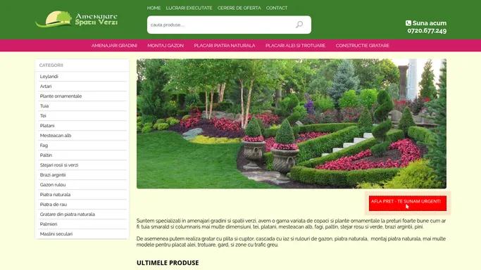 Amenajare spatii verzi, amanajari gradini cu tuia, pini, tei, platani