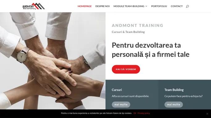 Homepage - Andmont.ro