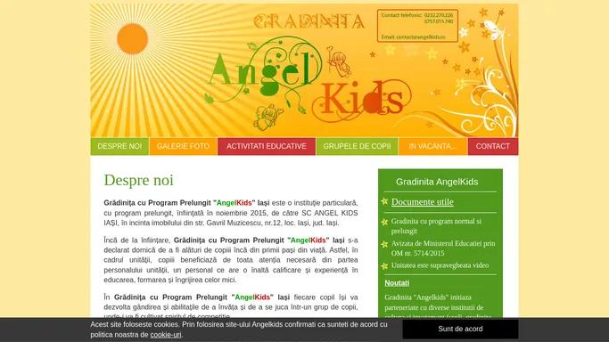 Gradinita Angelkids Iasi 1234