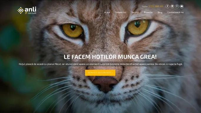 Prima pagina - Anli IT Consult
