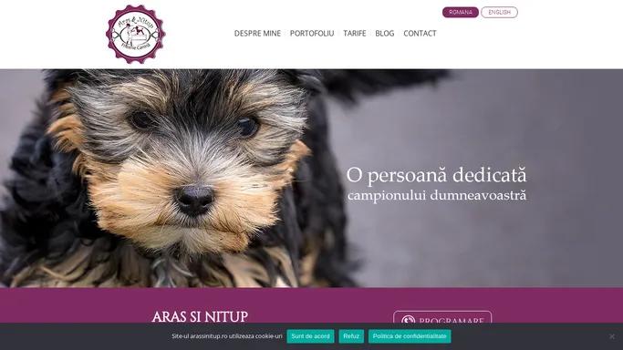 Coafor - frizerie caini / salon frizerie canina Brasov