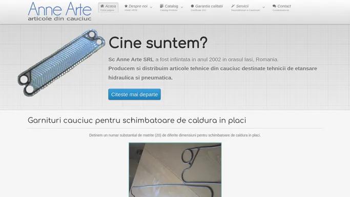 Anne Arte SRL Iasi - Producator Articole tehnice din cauciuc