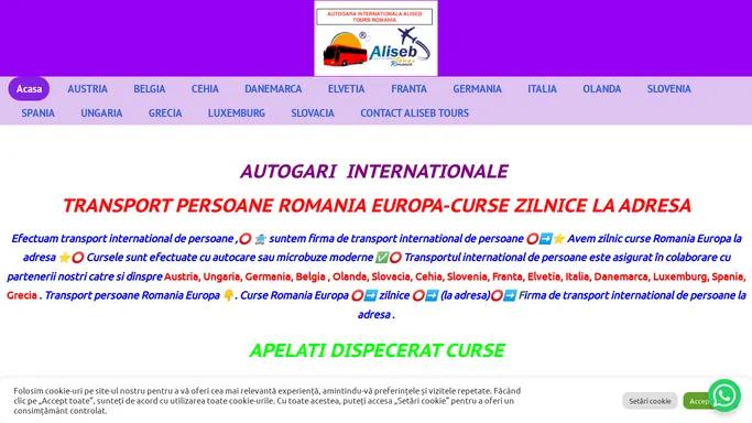 Transport international de persoane: curse zilnice in Europa