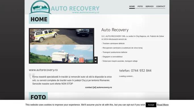 Nu am gasit pagina « Auto Recovery