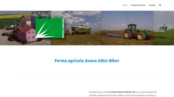 Ferma, agricola, producator, agricol, depozitare, grau, porumb, floarea soarelui, soia, utilaje, agricole, agricultura, cereale, Olah Sandor, Avena prodcom, Albis, Bihor |