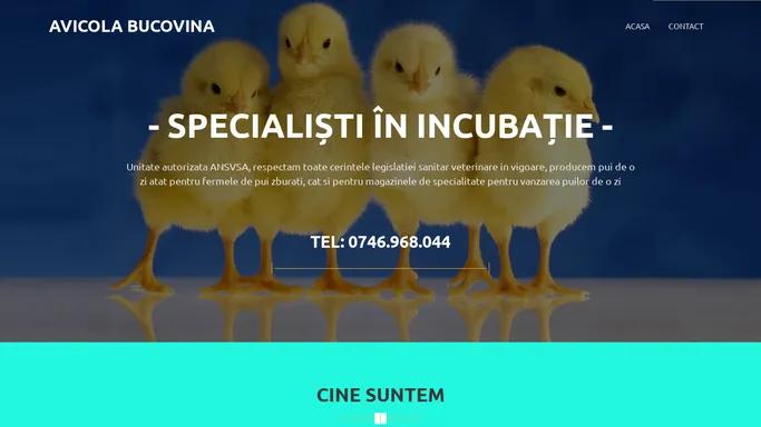 Avicola Bucovina – Specialisti in incubatie