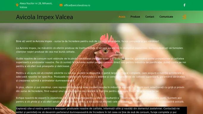 Avicola Impex Valcea – Avicola Impex se angajeaza sa furnizeze oua de consum , pui broiler zburati , furaje complete si complementare pentru toate speciile de animale , fabricate din FNC propriu , de cea mai buna calitate , si sa ofere consumatorilor sai tot ce este mai bun.