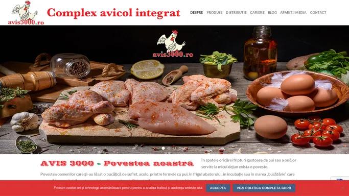 Avis 3000 - Producator carne de pui si oua, abator, distributie