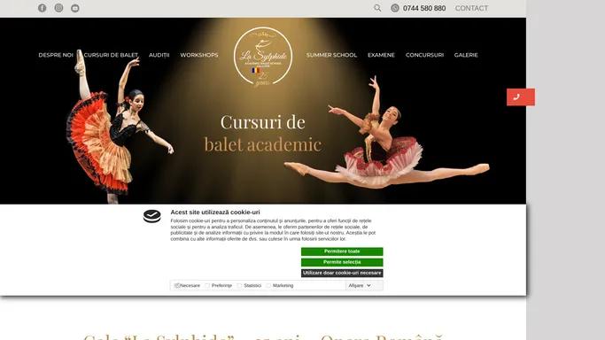 Homepage - La Sylphide Balet Academic