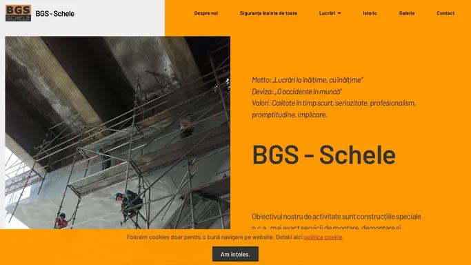 BGS-Schele