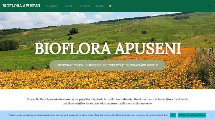 Plante medicinale Apuseni - BIOFLORA APUSENI