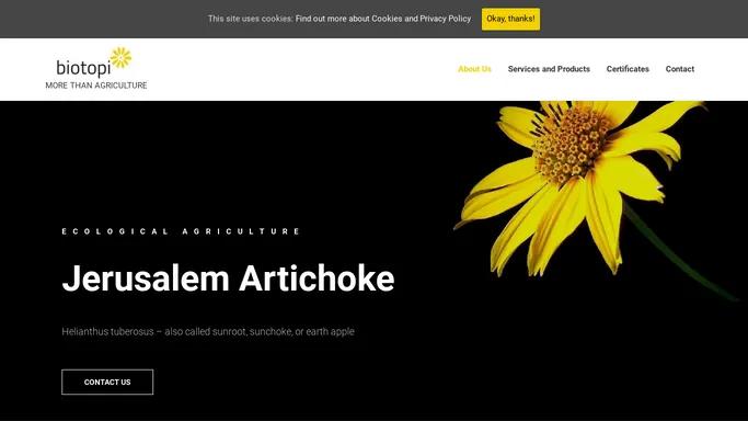 About Us - JERUSALEM ARTICHOKE