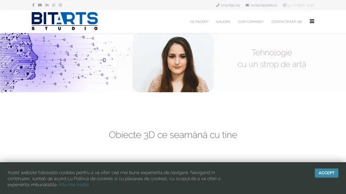 Portrete 3D - BITARTS Studio