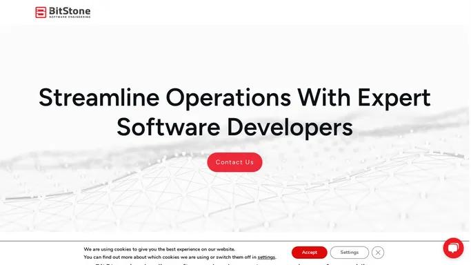 BitStone: Software Development Company - Premier Services