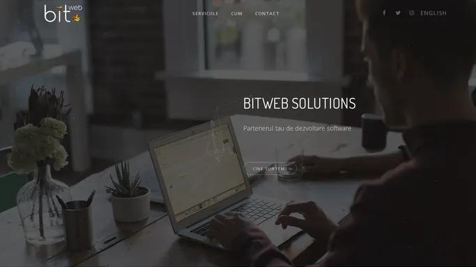 Bitweb — Partenerul tau de dezvoltare software