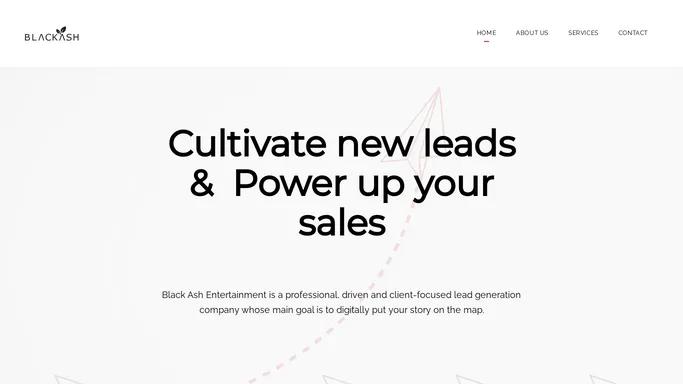 Black Ash Entertainment - Lead Generation Solutions