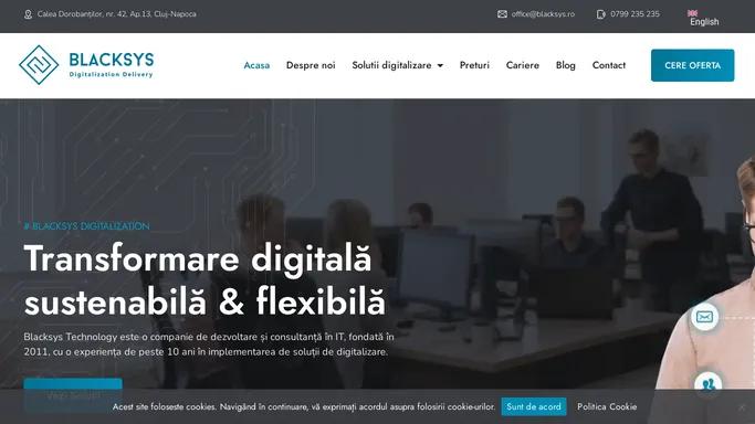 Blacksys Technology - Digitalizarea Afacerii