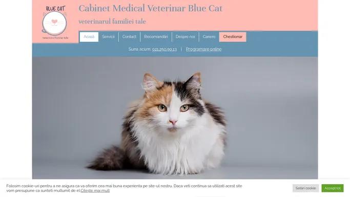 Acasa - Cabinet Medical Veterinar Blue Cat