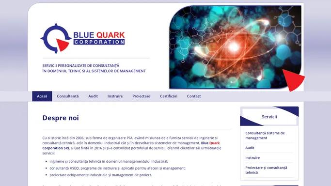 Blue Quark Corporation - Despre noi