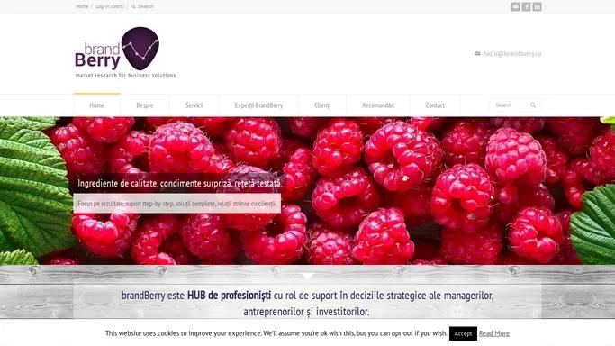 brandBerry - Cercetare de Piata | Marketing | Solutii integrate de business - Brandberry