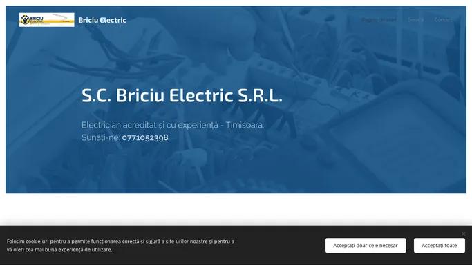 Briciuelectric