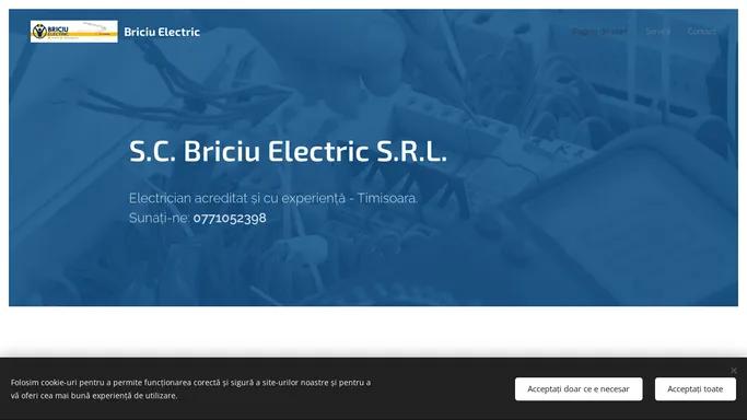 Briciuelectric