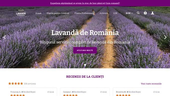 Lavanda de Romania - Butasi de lavanda, valorificare ulei de lavanda si consultanta