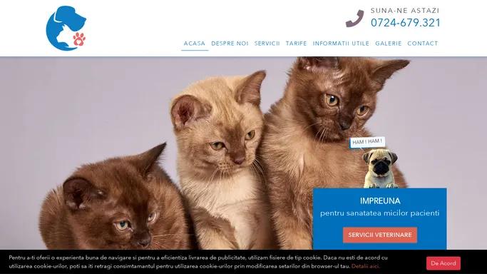 Cabinet Veterinar Ploiesti | Doctor Veterinar Ruxandra Ion