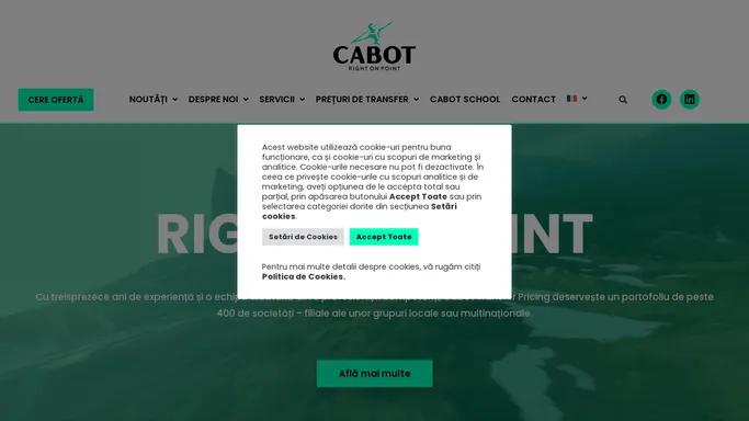 Cabot Transfer Pricing - Right On Point