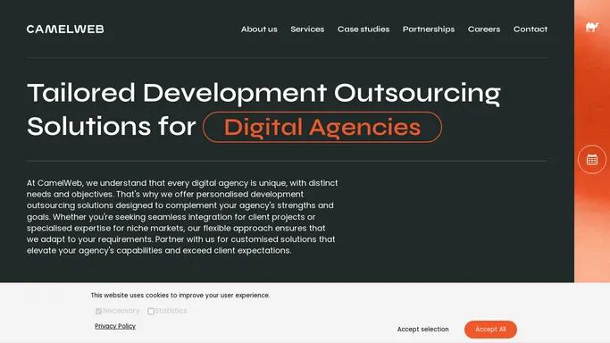 Tailored Development Outsourcing Solutions | CamelWeb