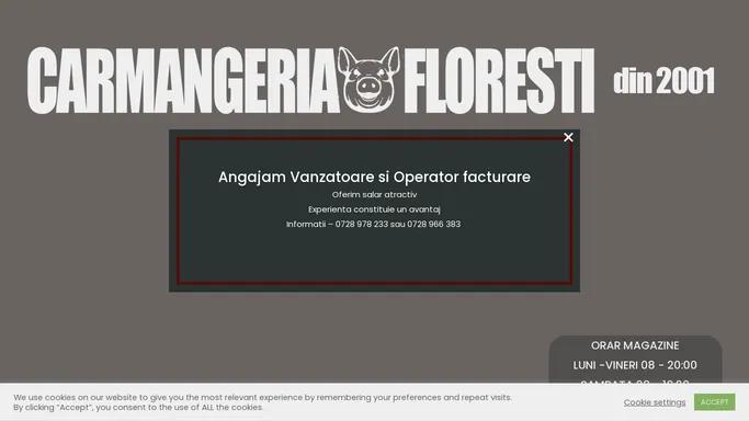 Home - Carmangeria Floresti