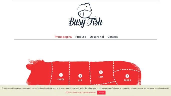 Carne de Vita | Distribuitor Carne Vita | Carne vita premium | Busy Fish srl