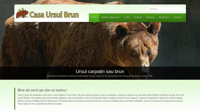 Bine ati venit pe site-ul nostru - Casa Ursul Brun