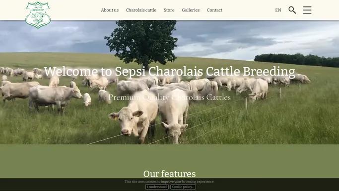 Sepsi Charolais