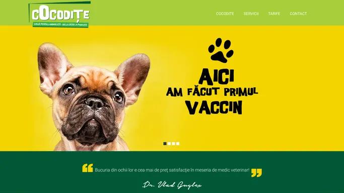 Cocodite - Dr. Vlad Gugles - Cabinet Veterinar Iasi