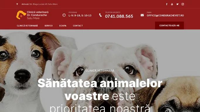 Cabinet veterinar Dr. Condurache Satu Mare