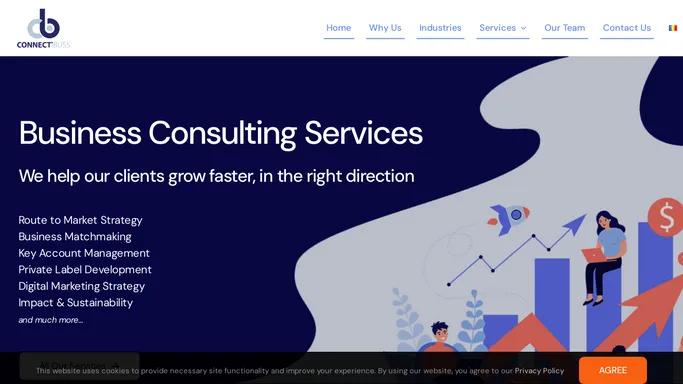 Business Consulting Services - Connectibuss Ltd