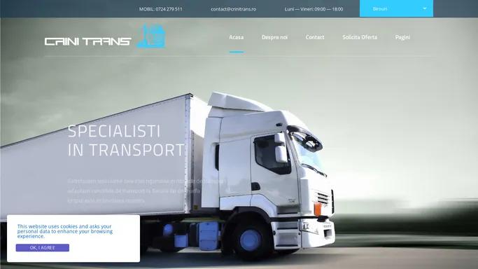 Transport Intern si International