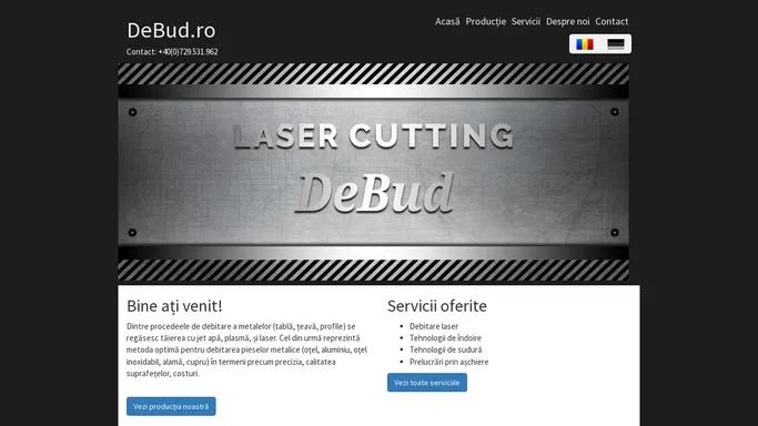 Laser cutting Cluj - debud.ro