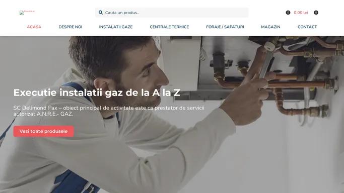 Delimond – Executie instalatii gaz de la A la Z