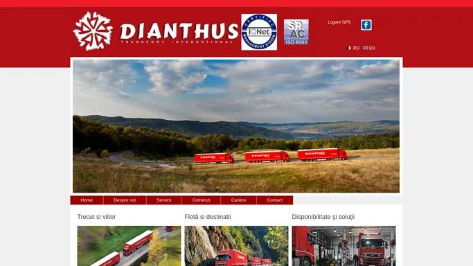 DIANTHUS - INTERNATIONAL COMPANY| transport marfa | transport international | expeditii rutiere de marfa | logistica | depozitare | distributie