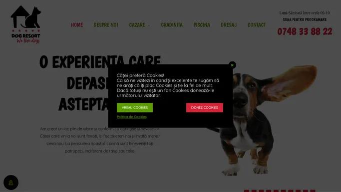 Pensiune canina si dresaj personalizat Bucuresti ⋆ Dog Resort