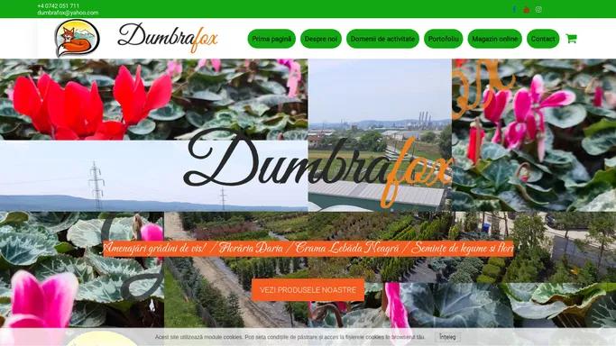 Dumbrafox Producator de plante si flori / Crama Lebada Neagra