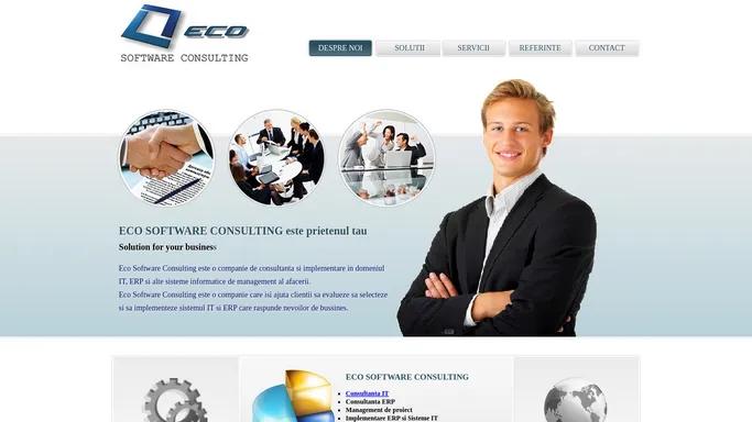 Eco Software Consulting